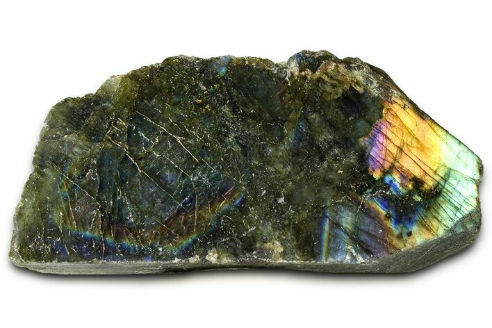 Single Side Polished Labradorite Section - Madagascar #364309